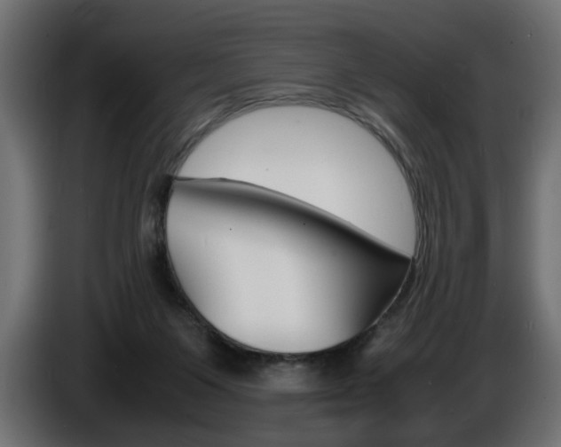 X0000086910119200704161018