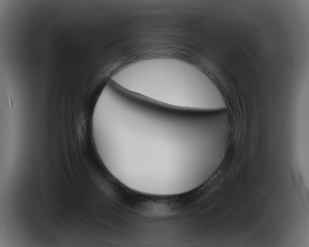 X0000086910120200704161018