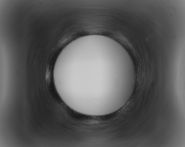 X0000086910124200704161018