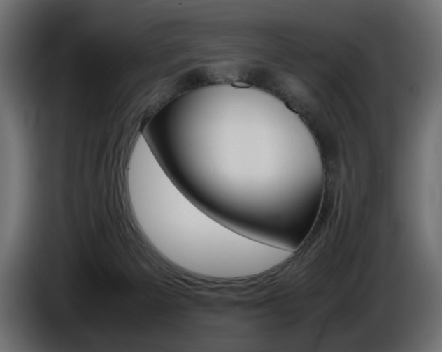 X0000086910125200704161018