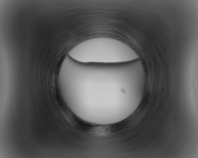 X0000086910126200704161018