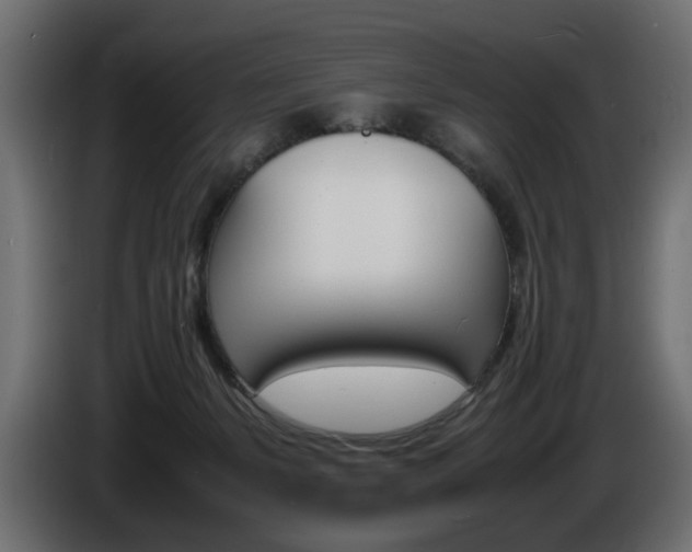 X0000086910127200704161018