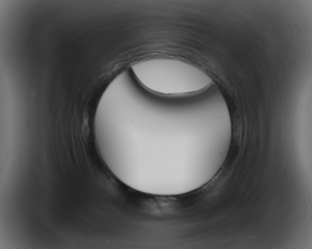 X0000086910128200704161018