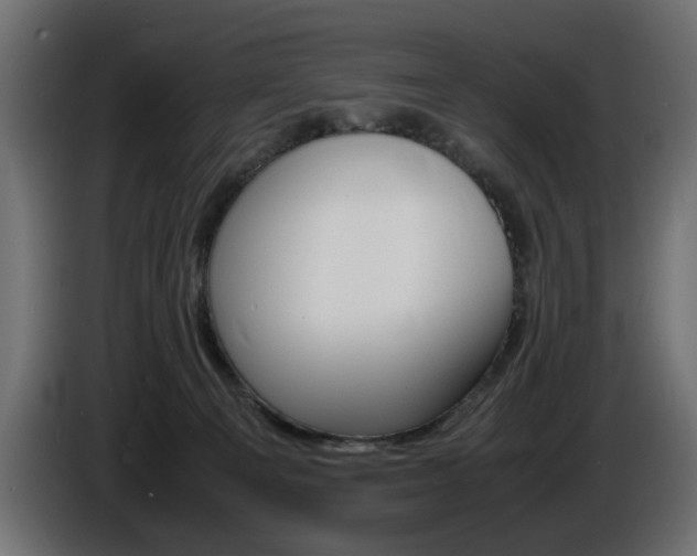 X0000086910129200704161018