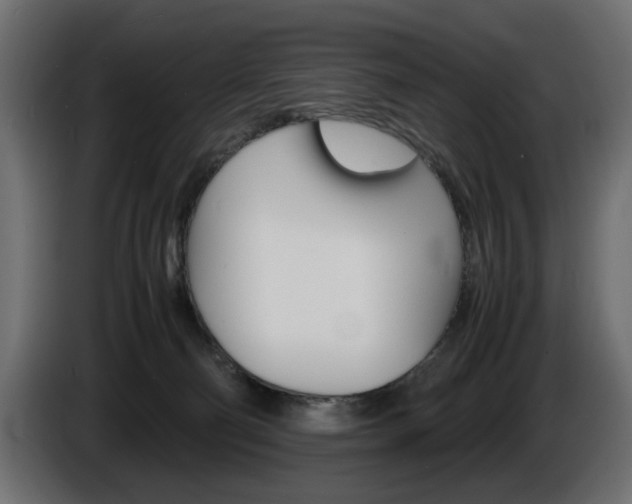 X0000086910130200704161018