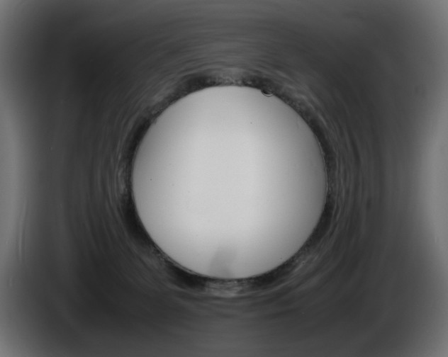 X0000086910131200704161018