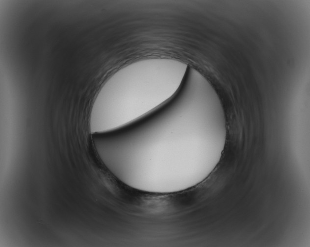 X0000086910132200704161018
