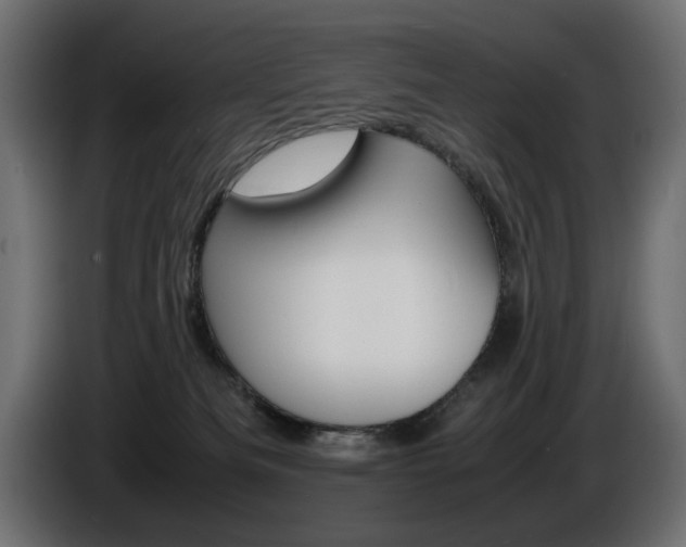 X0000086910133200704161018
