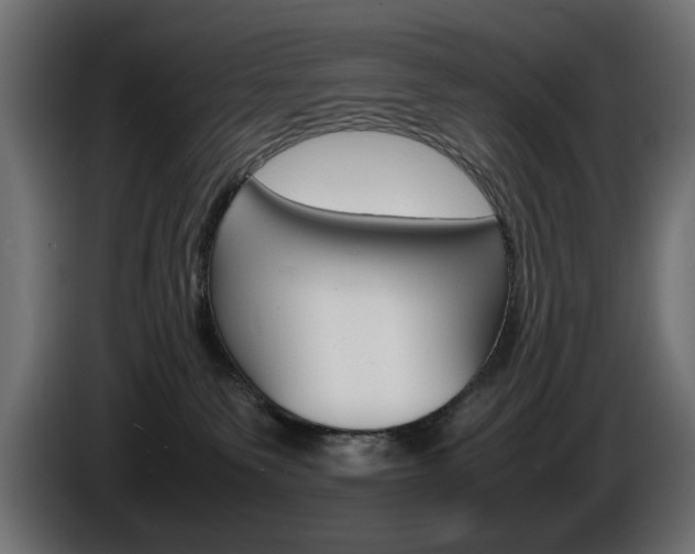 X0000086910135200704161017