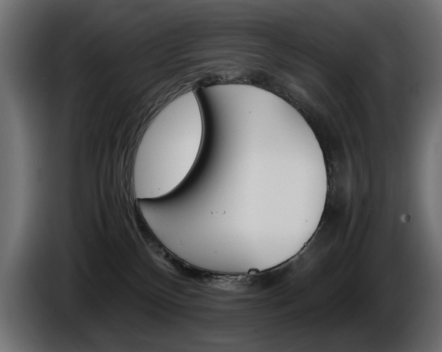 X0000086910136200704161017