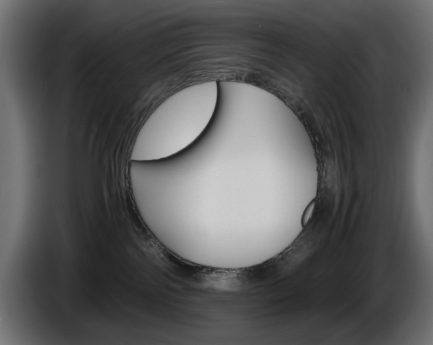 X0000086910138200704161017