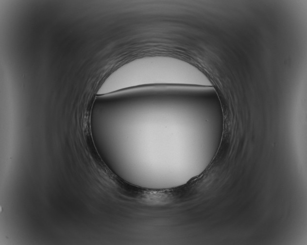 X0000086910141200704161017