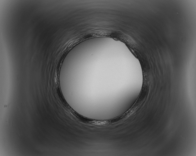 X0000086910143200704161017