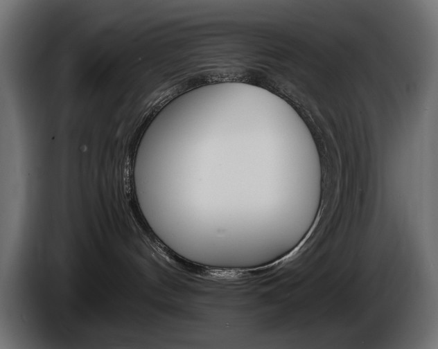 X0000086910144200704161017