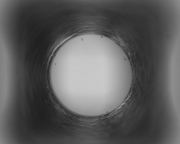 X0000086910146200704161017