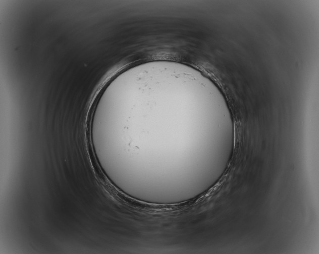 X0000086910147200704161017