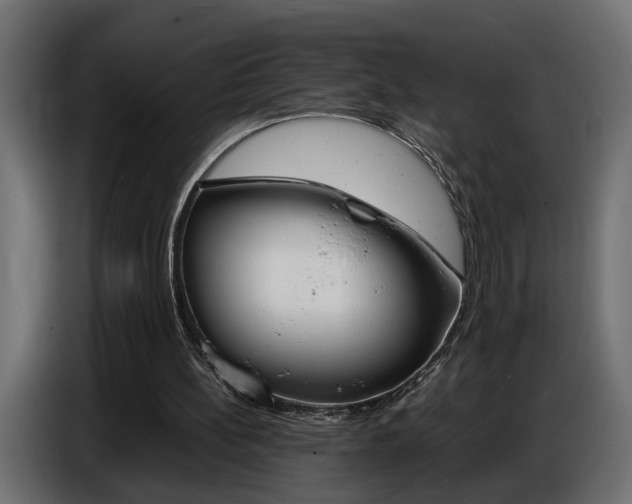 X0000086910148200704161017