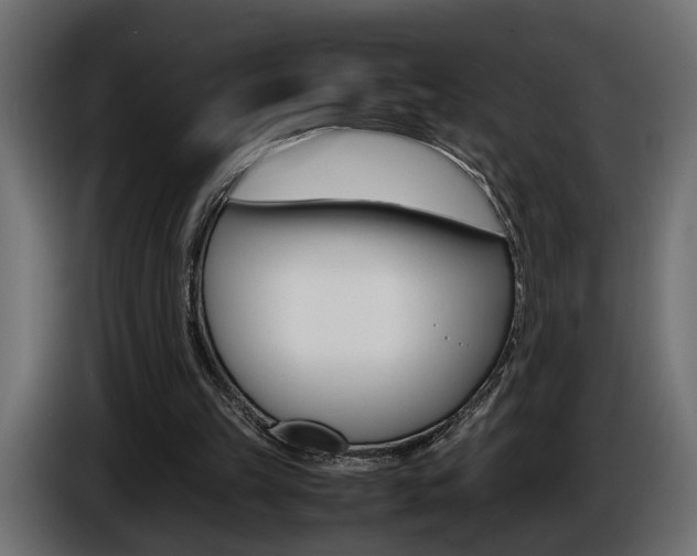 X0000086910149200704161017