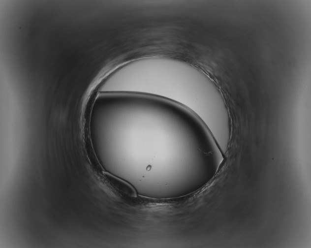 X0000086910150200704161017