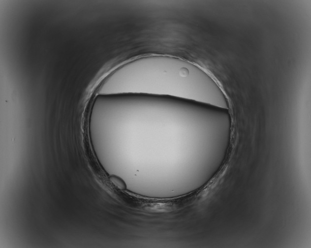 X0000086910151200704161017