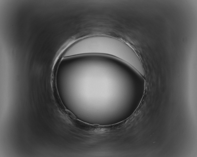 X0000086910152200704161017