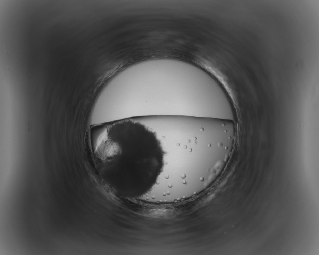 X0000086910153200704161017