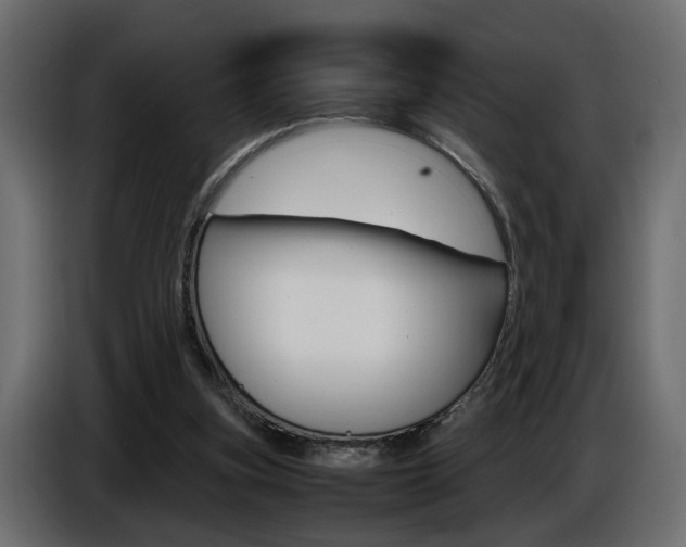 X0000086910155200704161017