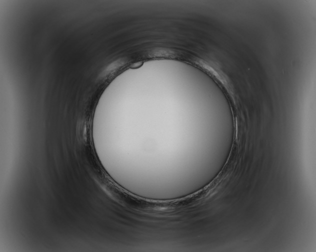 X0000086910157200704161017