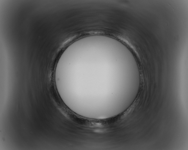 X0000086910159200704161017