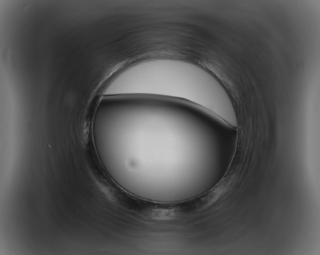 X0000086910160200704161017