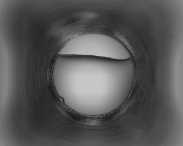 X0000086910161200704161017