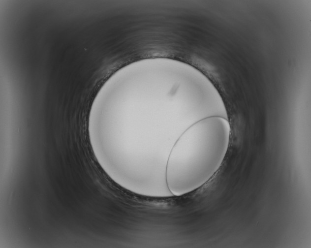 X0000086910162200704161017