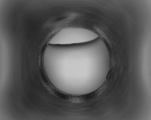 X0000086910163200704161017