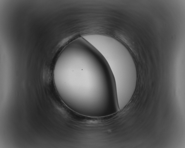 X0000086910164200704161017