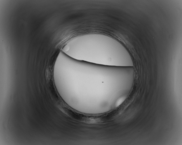 X0000086910165200704161017