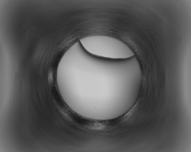 X0000086910166200704161017