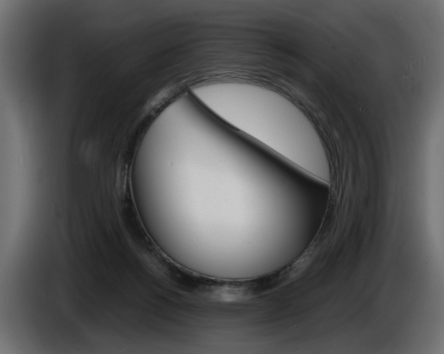X0000086910168200704161017