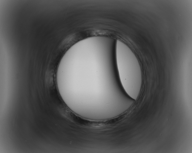 X0000086910169200704161017