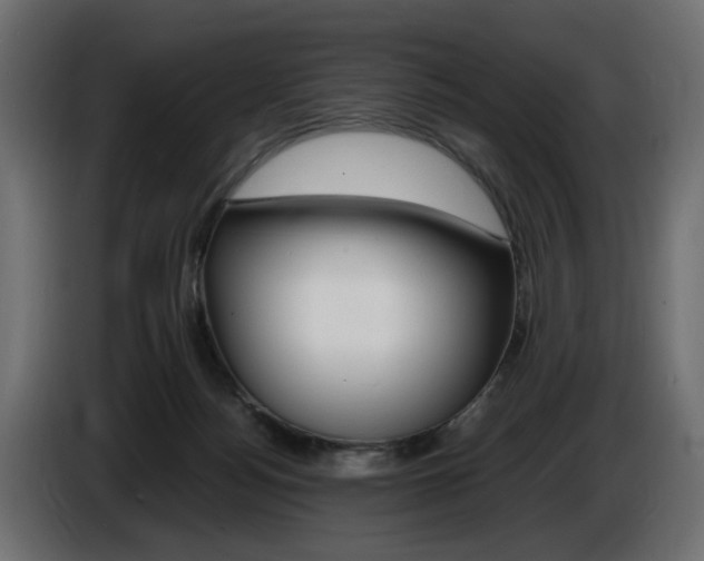 X0000086910172200704161017