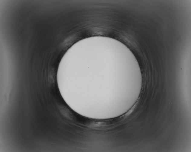 X0000086910174200704161017