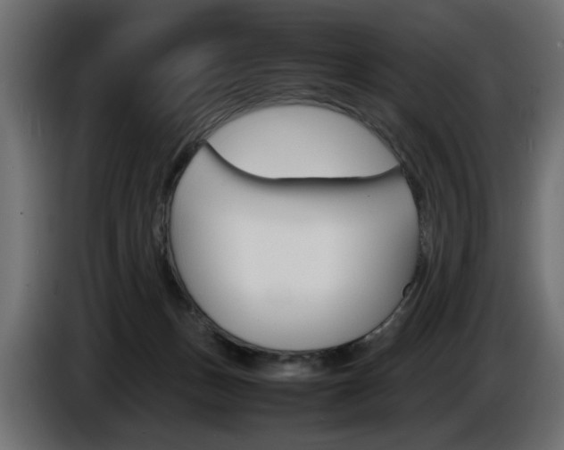 X0000086910175200704161017