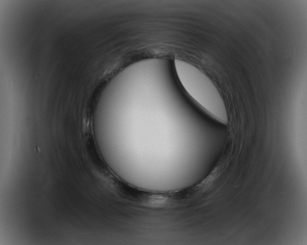 X0000086910176200704161017