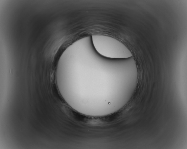 X0000086910177200704161017