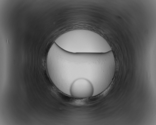 X0000086910178200704161017