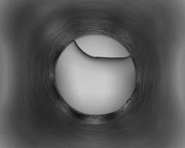 X0000086910179200704161017
