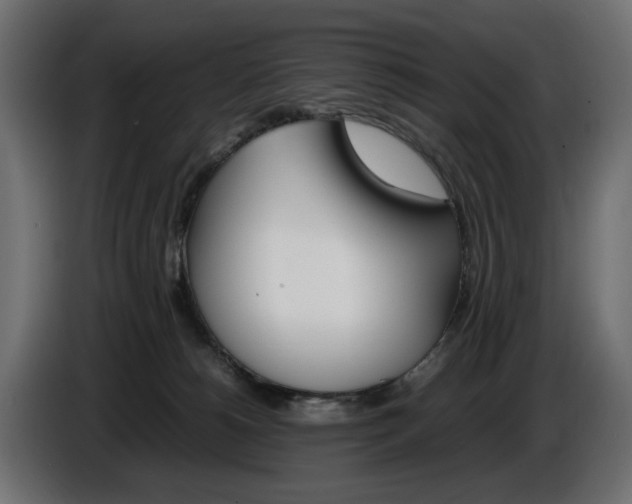 X0000086910180200704161017