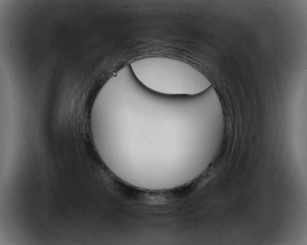 X0000086910181200704161017