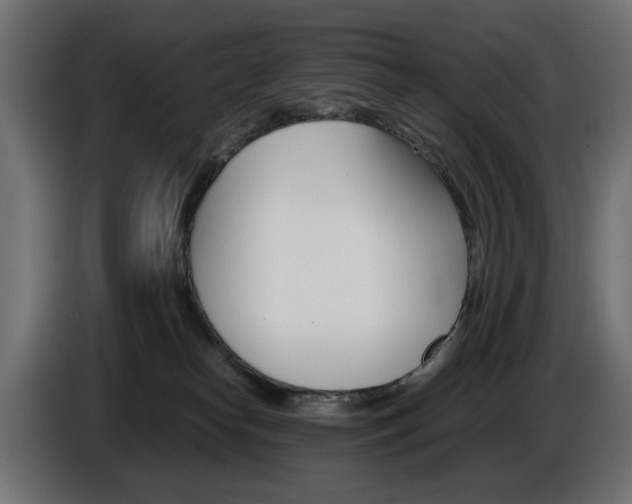X0000086910182200704161017