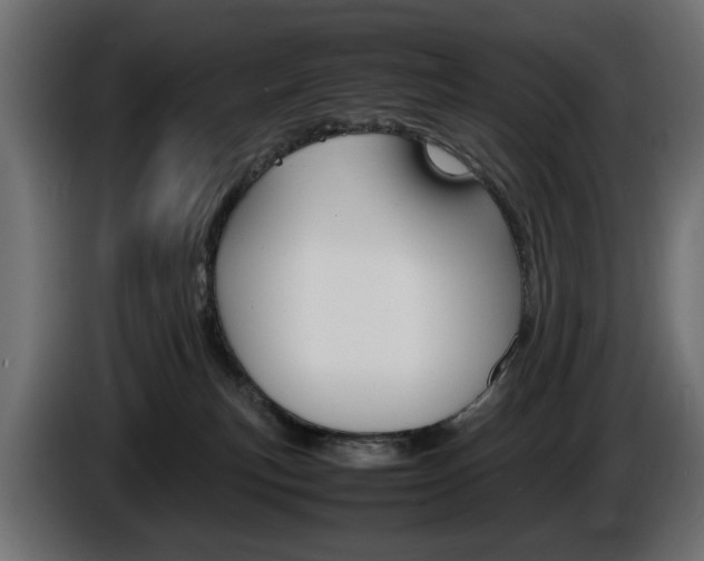X0000086910183200704161017