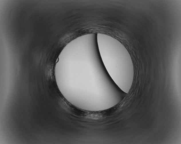 X0000086910185200704161017